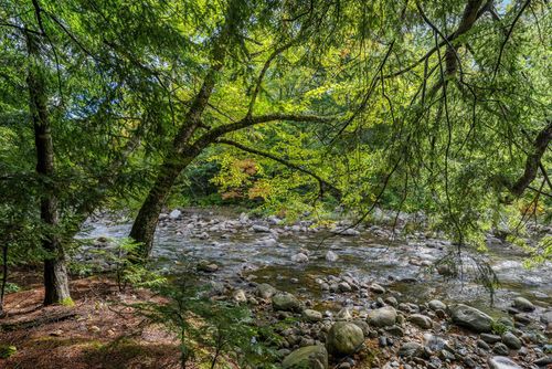 161 Lancaster Rd, Gorham, NH, 03581-4805 | Card Image