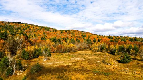 000 Willard Pond Rd, Hancock, NH, 03449 | Card Image