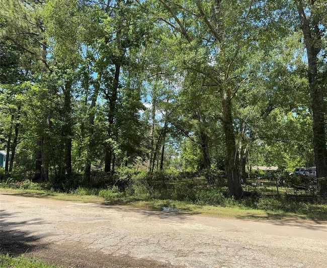 6 Peach Creek Ln, Home with 0 bedrooms, 0 bathrooms and null parking in New Caney TX | Image 7