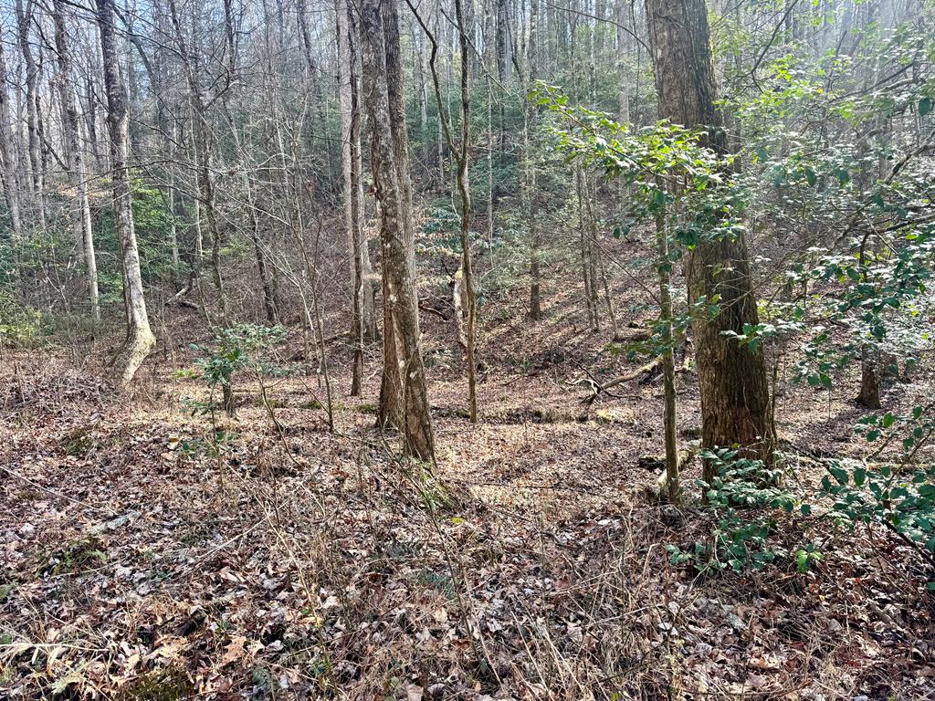 Land in Ellijay