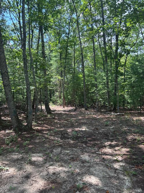 0 Cheatham Rd, Monroe, VA, 24574 | Card Image