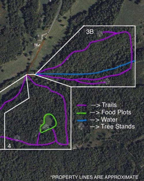 Tract 3b4 Route 4, Squires, MO, 65755 | Card Image