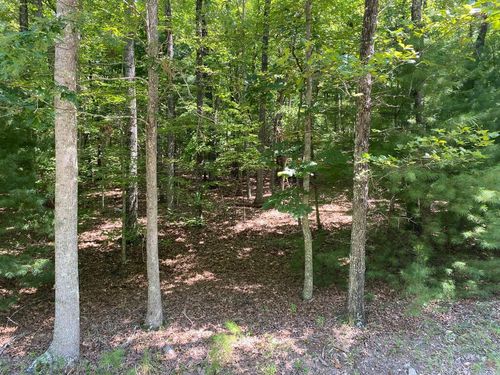 93-6.93 AC Ace Way, Blairsville, GA, 30512-4803 | Card Image