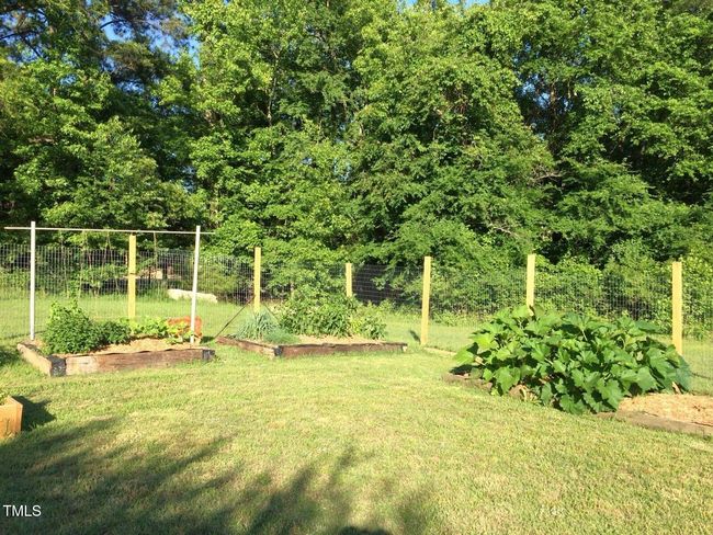 Garden | Image 46
