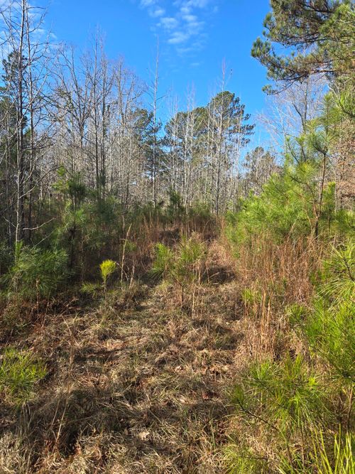 0 Outrigger Dr, Lincolnton, GA, 30817 | Card Image