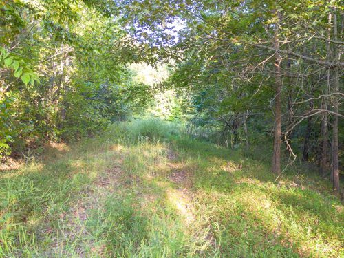 0 Elm Grove Rd, Burlison, TN, 38015 | Card Image