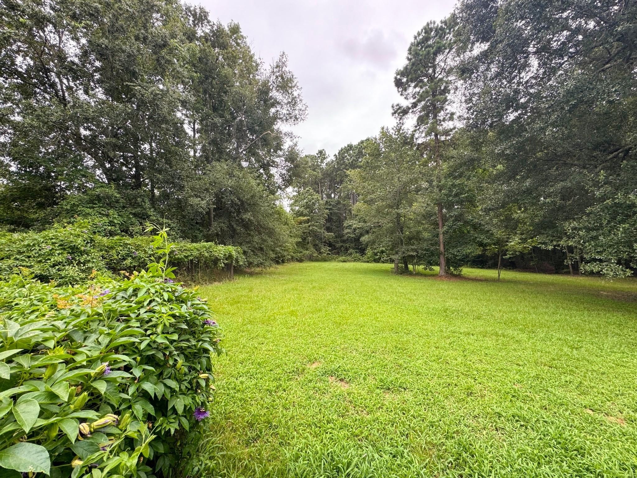 Residential in Conroe