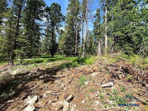 blue-sky-loop-Lot 24 Other, Lead, SD, 57754 | Card Image