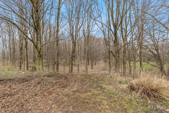 Woods | Image 28