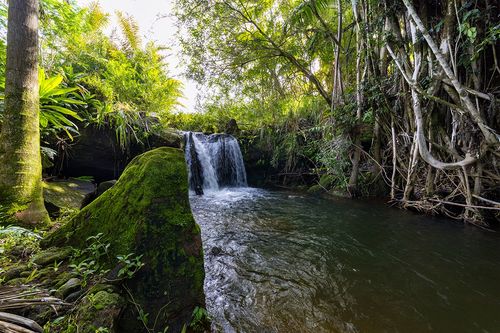 28-380 Sugar Mill Rd, PEPEEKEO, HI, 96783 | Card Image