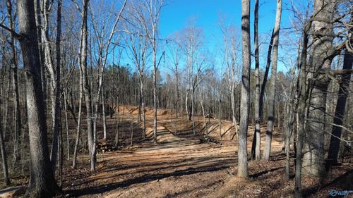 316 Skyhaven Dr, Boaz, AL, 35956-6038 | Card Image