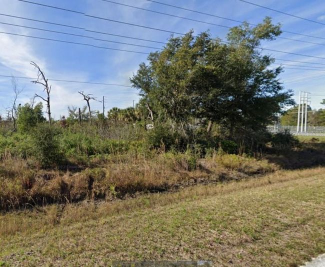 Lot 30 Doherty Drive, Home with 0 bedrooms, 0 bathrooms and null parking in Lake Wales FL | Image 4