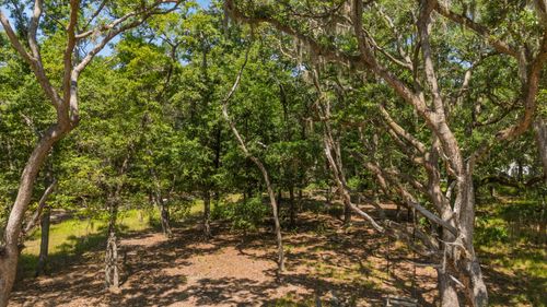 31 Tupelo Ter, Edisto Island, SC, 29438-6896 | Card Image