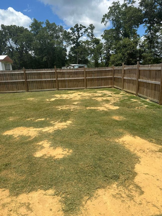 Fence | Image 14