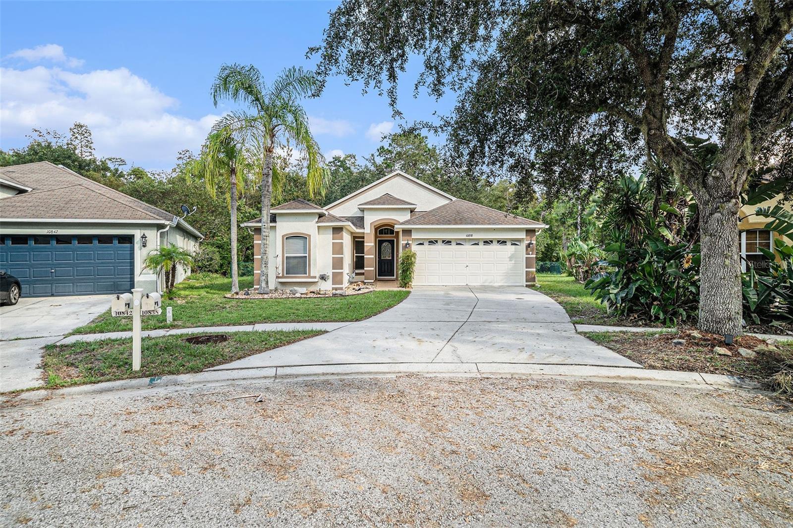 Wild Cotton Ct, Land O Lakes, FL 34638