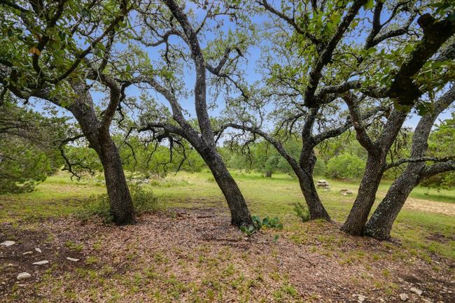 The surrounding neighborhood features large lots and mature trees for added privacy and charm. | Image 35