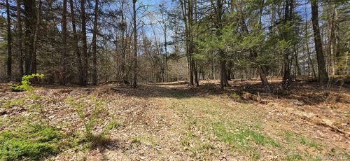 Lot 12 Tyler Rd, Cochecton, NY, 12726 | Card Image