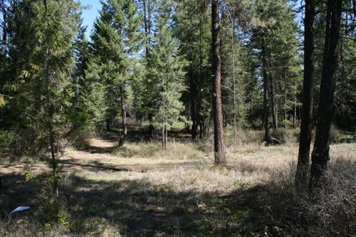 XX Bowler Rd, Springdale, WA, 99173 | Card Image