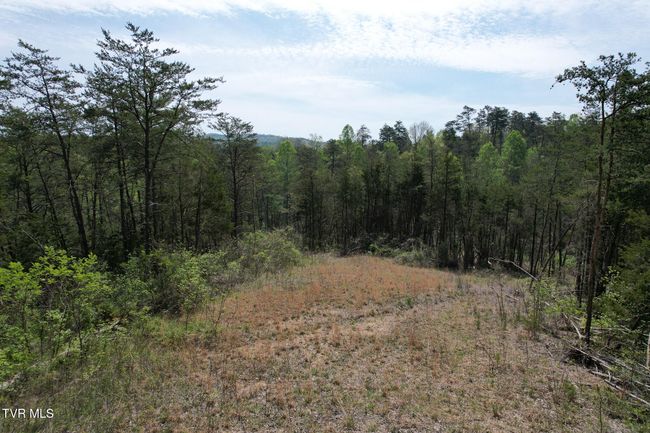 0 Coy Bradley Ln, Home with 0 bedrooms, 0 bathrooms and null parking in Bulls Gap TN | Image 17