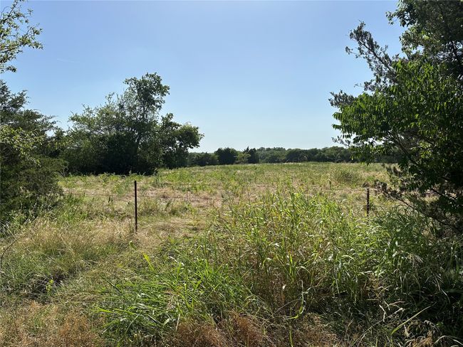 View of local wilderness featuring rural landscape | Image 9