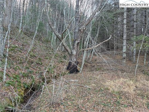 TBD Old Nc Highway 16, Grassy Creek, NC, 28631 | Card Image