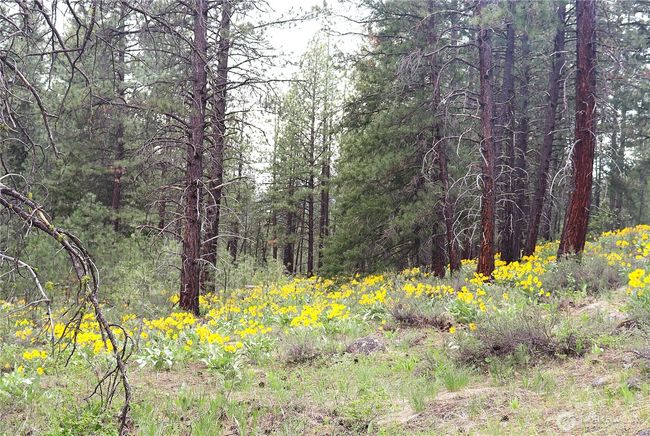 799 Twisp River Rd, Home with 0 bedrooms, 0 bathrooms and null parking in Twisp WA | Image 21