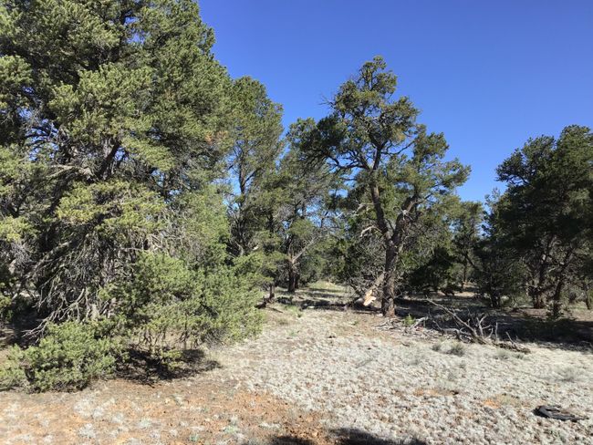 Lot 7 Red Fox Road, Home with 0 bedrooms, 0 bathrooms and null parking in Ramah NM | Image 7