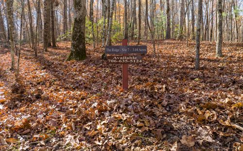 LOT 7 Joseph Anderson Trl, Ellijay, GA, 30536 | Card Image