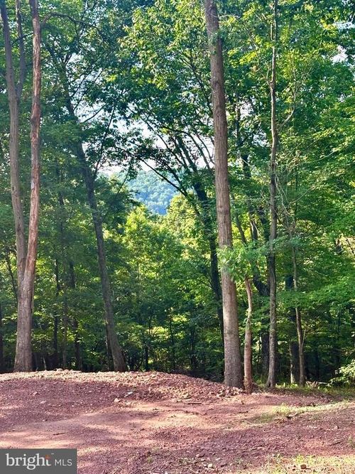 Lot 302 Winterberry Dr, MOOREFIELD, WV, 26836 | Card Image