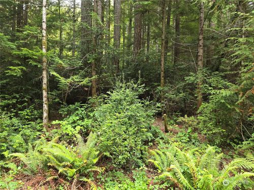 41 N Paradise Dr, Lilliwaup, WA, 98555-9607 | Card Image