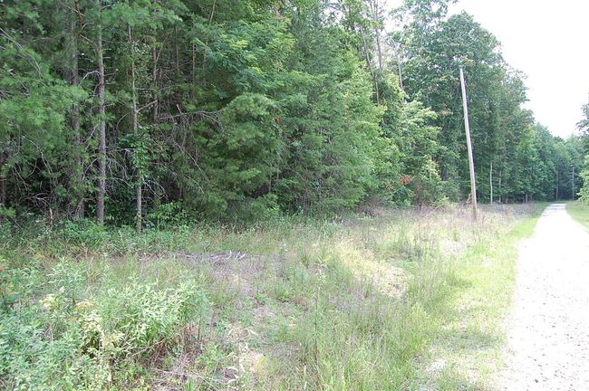 10 Laurel Brook Rd, Home with 0 bedrooms, 0 bathrooms and null parking in Dunlap TN | Image 10