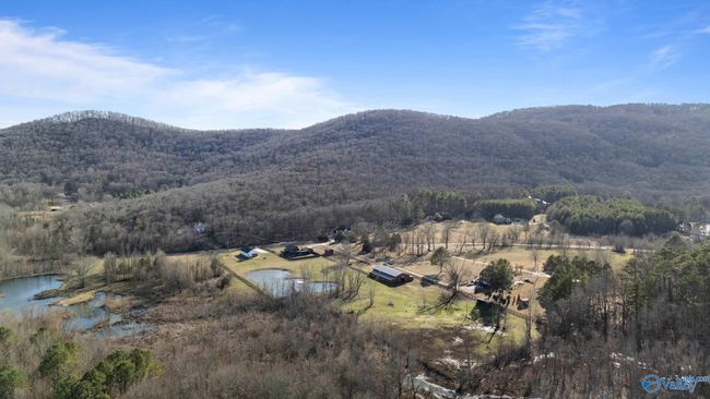 315 Rock Spring Rd, Home with 3 bedrooms, 2 bathrooms and null parking in Owens Cross Roads AL | Image 42