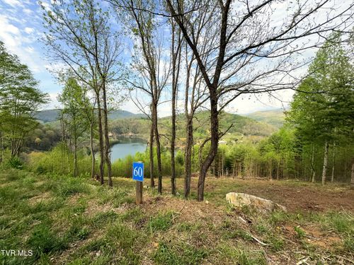 Lot 60 Cowan Town Rd, Butler, TN, 37640 | Card Image
