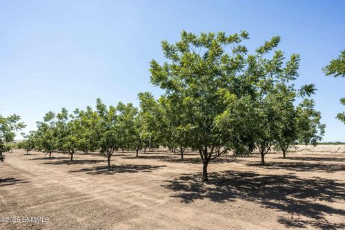 215 Red Hills Rd, Hatch, NM, 87937 | Card Image