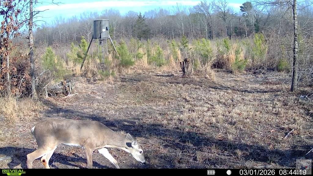 Land in DeKalb 5