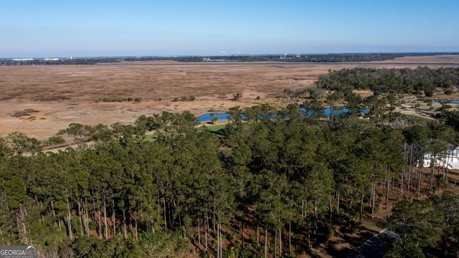 V/L 48 Sanctuary Cove No Street Suffix, Home with 0 bedrooms, 0 bathrooms and null parking in Waverly GA | Image 10