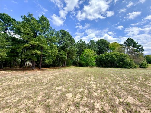0 Palomino Ct, Athens, TX, 75752 | Card Image