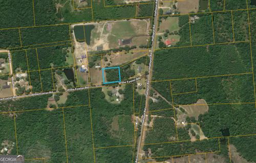 0 Willie Foster Rd, Hazlehurst, GA, 31539 | Card Image