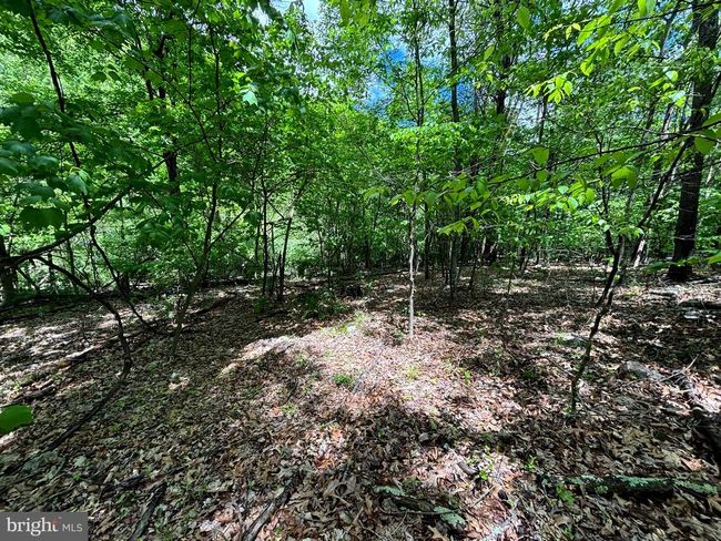 LOT 4 Yost Rd, Home with 0 bedrooms, 0 bathrooms and null parking in New Creek WV | Image 9