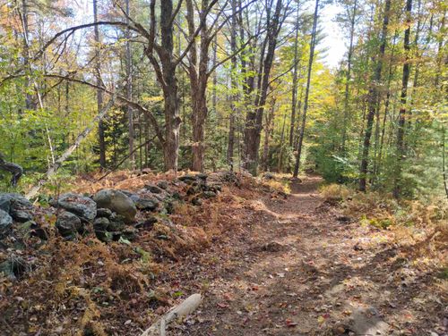 1506 Windham Hill Rd, West Townshend, VT, 05359-4432 | Card Image