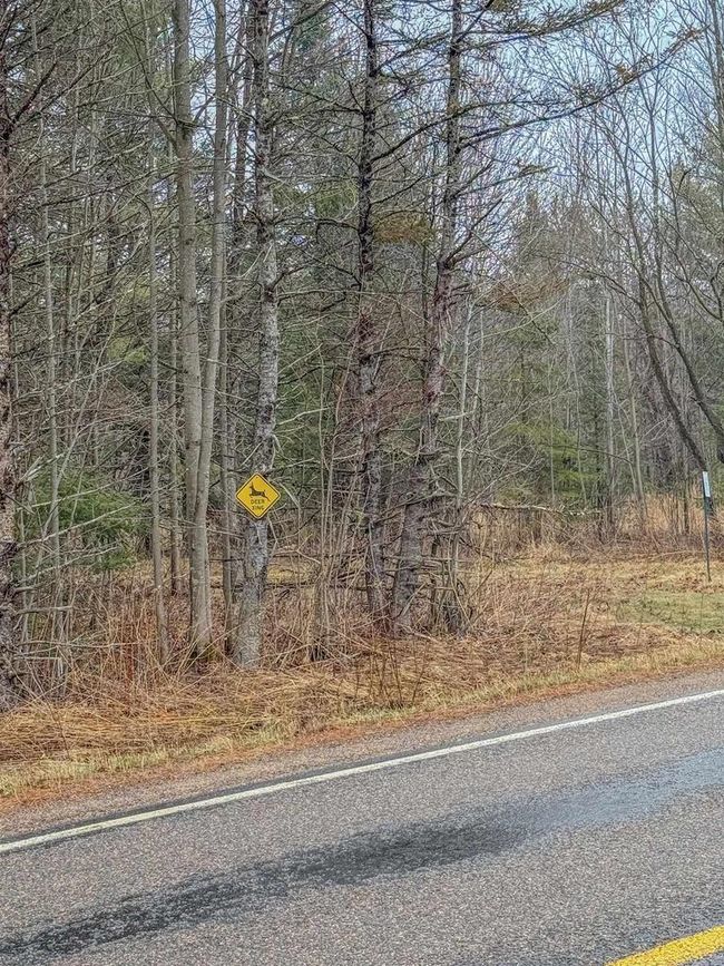 W10236 County Road M, Home with 0 bedrooms, 0 bathrooms and null parking in Merrill WI | Image 26