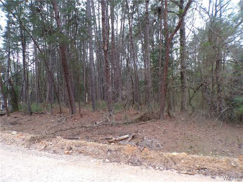 13495 Gilbert Tommie Rd, Mc Calla, AL, 35111-1036 | Card Image