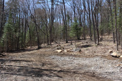 0000 S Ril Lake Rd, Muskoka, ON, P0B1A0 | Card Image