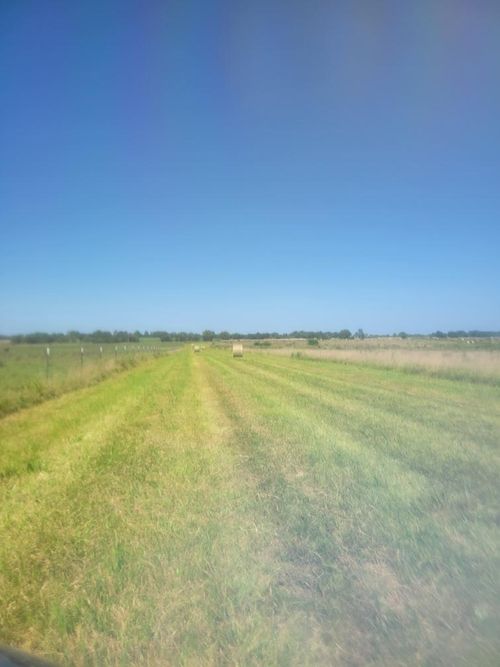 000 W Broadway St, Bolivar, MO, 65613 | Card Image