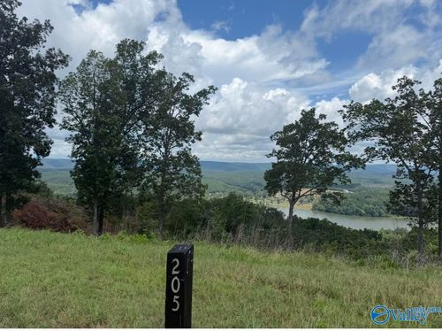 205-Lot 205 County Road 1022, Cedar Bluff, AL, 35959 | Card Image
