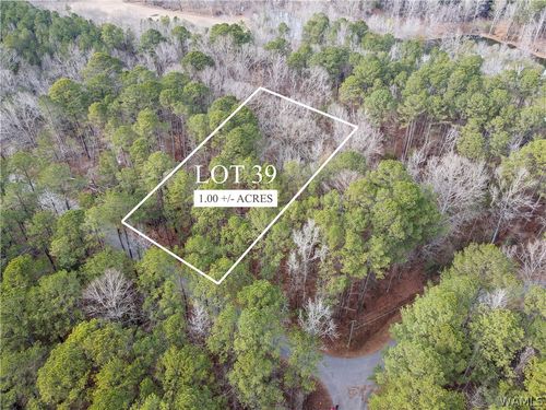 Lot 39 Grandview Dr, Northport, AL, 35475 | Card Image