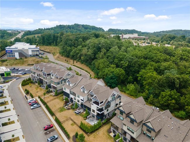 Treed area across street from front of unit. | Image 47
