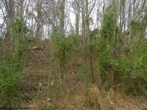 N-2 Lemley St, Morgantown, WV, 26508 | Card Image