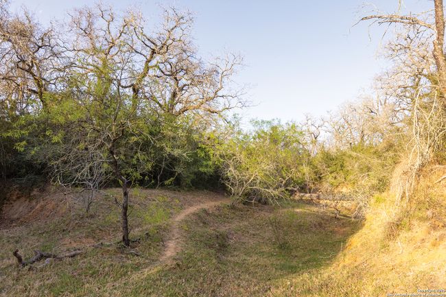 343 Batey Rd, Home with 3 bedrooms, 2 bathrooms and null parking in Nixon TX | Image 42