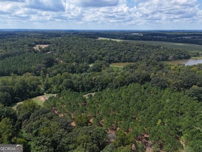 TRACT-9 - 0 Sanford Dr, Home with 0 bedrooms, 0 bathrooms and null parking in Nicholson GA | Image 6